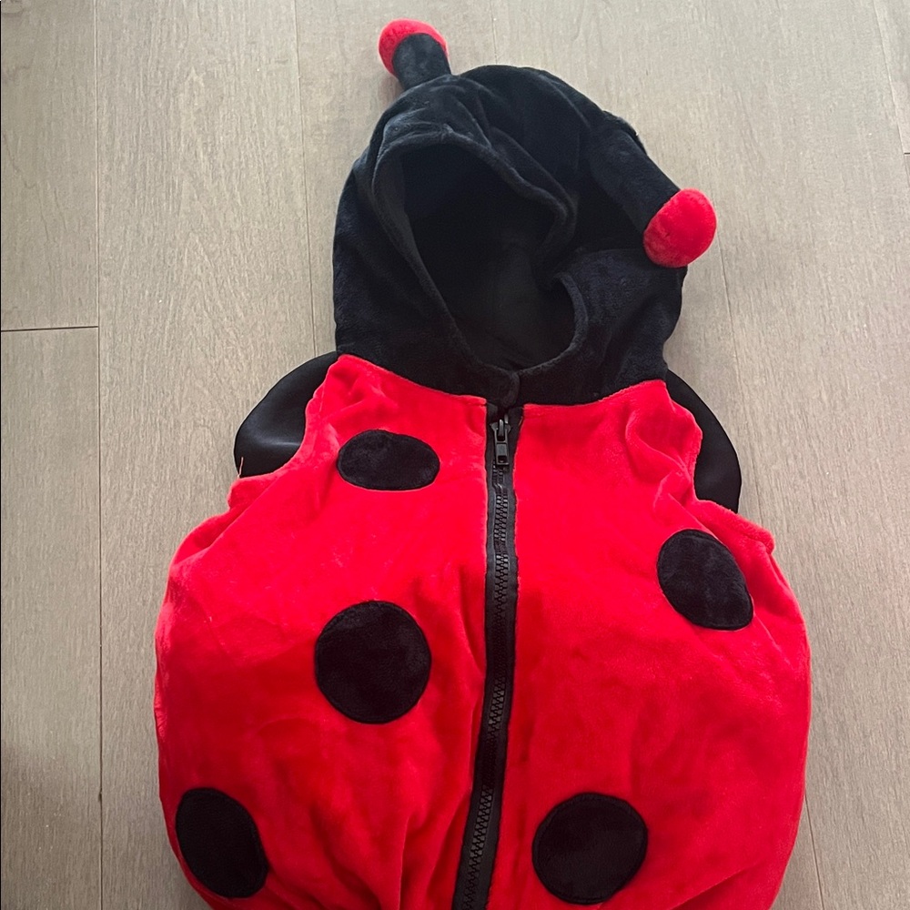 Ladybug Kids Costume